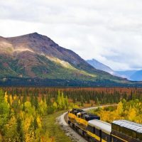Holiday & Seasonal Tours