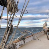 Sailing Trips