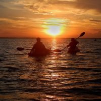 Cultural & Theme Tours