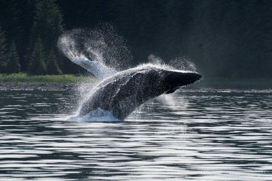 Labor Day in Hoonah