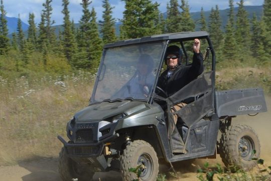 MLK Day in Denali National Park