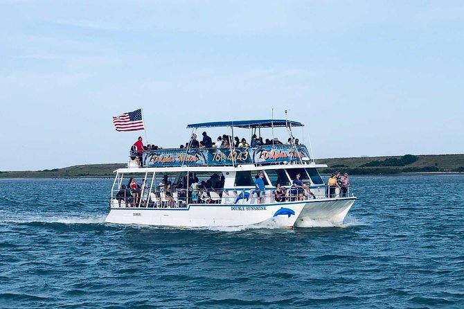 the original dolphin watch tours