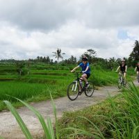 Bike & Mountain Bike Tours