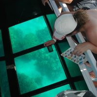 Boat Tours