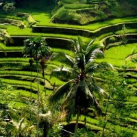 Full-day Tours