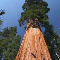 Day Trips & Excursions