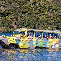 Eco Tours