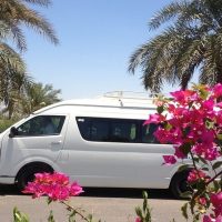 Transfers & Ground Transport