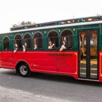 Bus & Minivan Tours