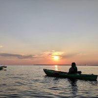 Cruises, Sailing & Water Tours