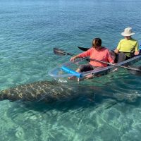 Cruises, Sailing & Water Tours