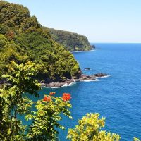Full-day Tours