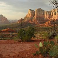 Bus & Minivan Tours