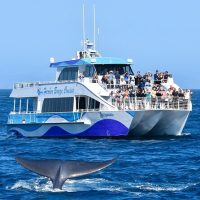 Tours & Sightseeing