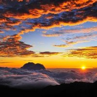Bus & Minivan Tours