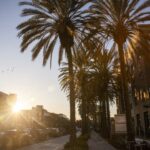 Top Anaheim & Buena Park activities