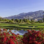 Top Palm Springs activities