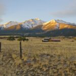 Top Buena Vista activities