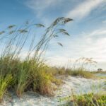 Top Hilton Head Island activities