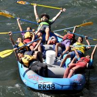 Day Trips & Excursions