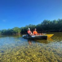 Boat Tours