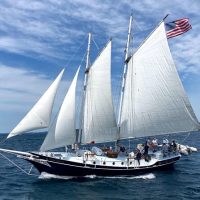 Cruises, Sailing & Water Tours