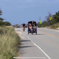 Tuk Tuk Tours