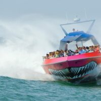 Holiday & Seasonal Tours