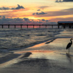 Beyond Orange Beach