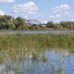 Top Bloomington activities