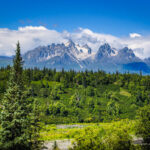Top Denali National Park activities