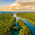 Top Everglades National Park activities
