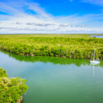 Top Key Largo activities