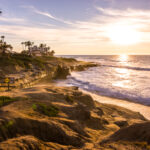 Top La Jolla activities