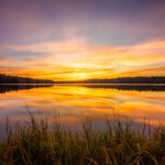 Top Mississippi activities