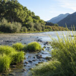 Top Taos activities