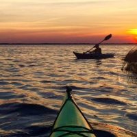 Cruises, Sailing & Water Tours