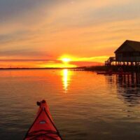 Boat Tours