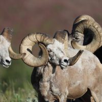 Full-day Tours