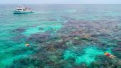 A great snorkel tour🐟🐠