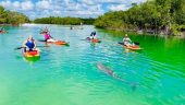 Marco Iland manatee tour