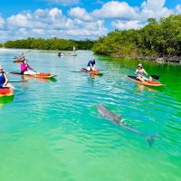 Boat Tours