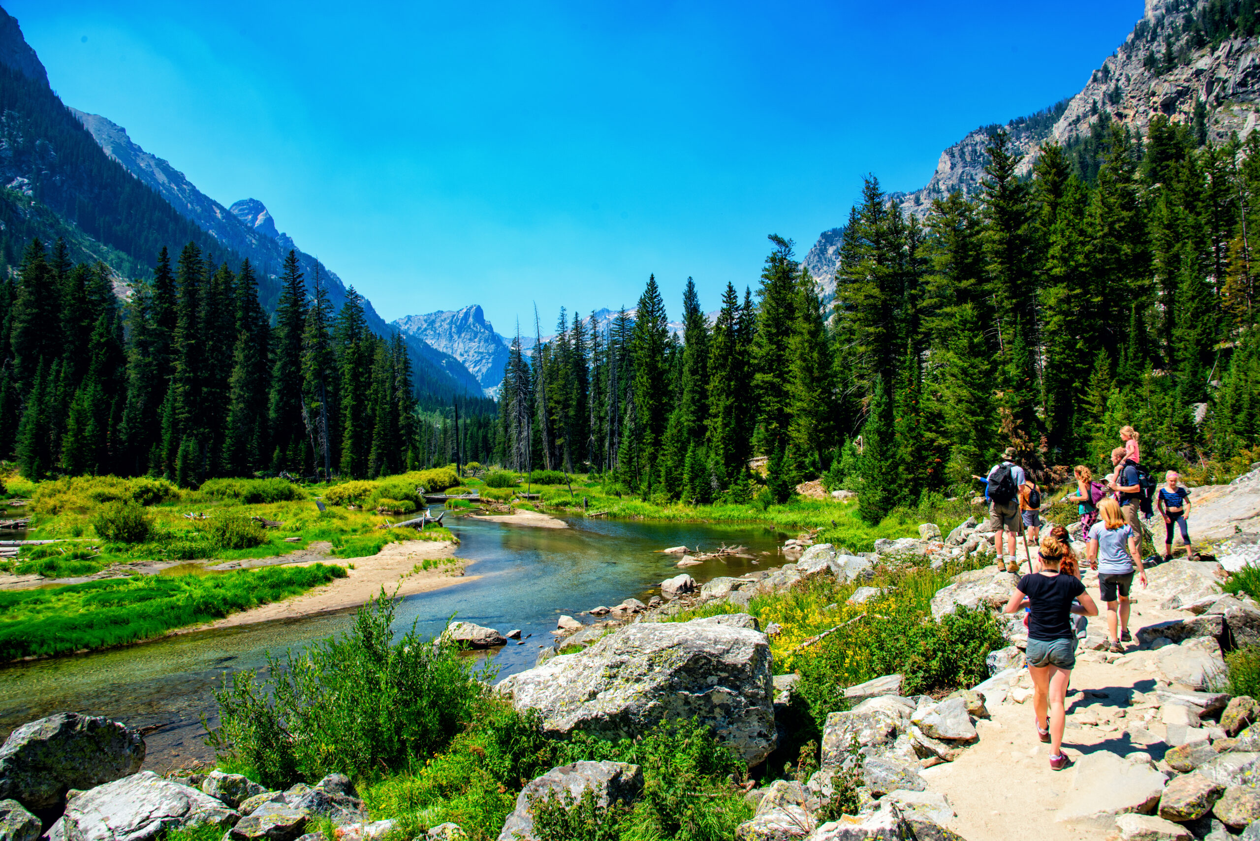 The Top 10 Grand Teton National Park Tours, Tickets & Activities 2024