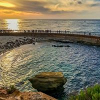 Tours & Sightseeing