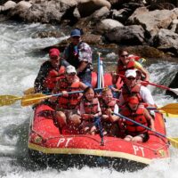Tours & Sightseeing