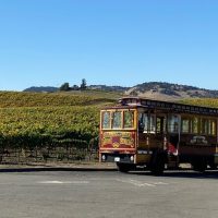 Luxury Tours