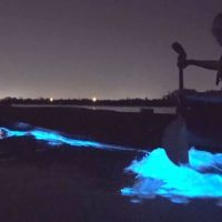Stand Up Paddleboarding