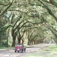 Private & Custom Tours