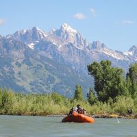 Bus & Minivan Tours