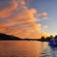 Boat Tours